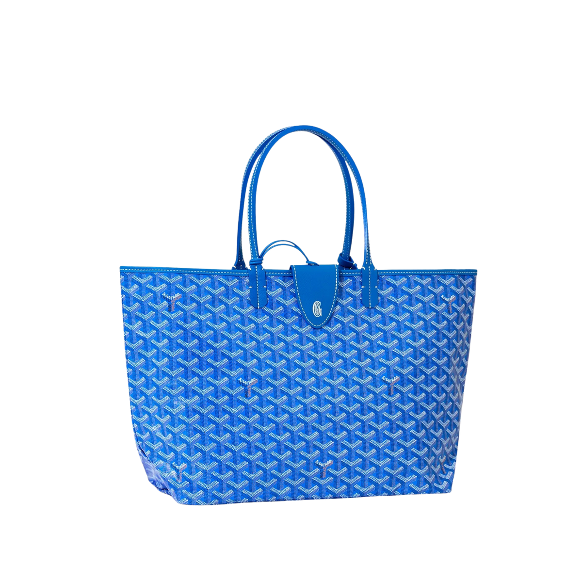 Goyard Saint-Louis PM Bag "Sky Blue"