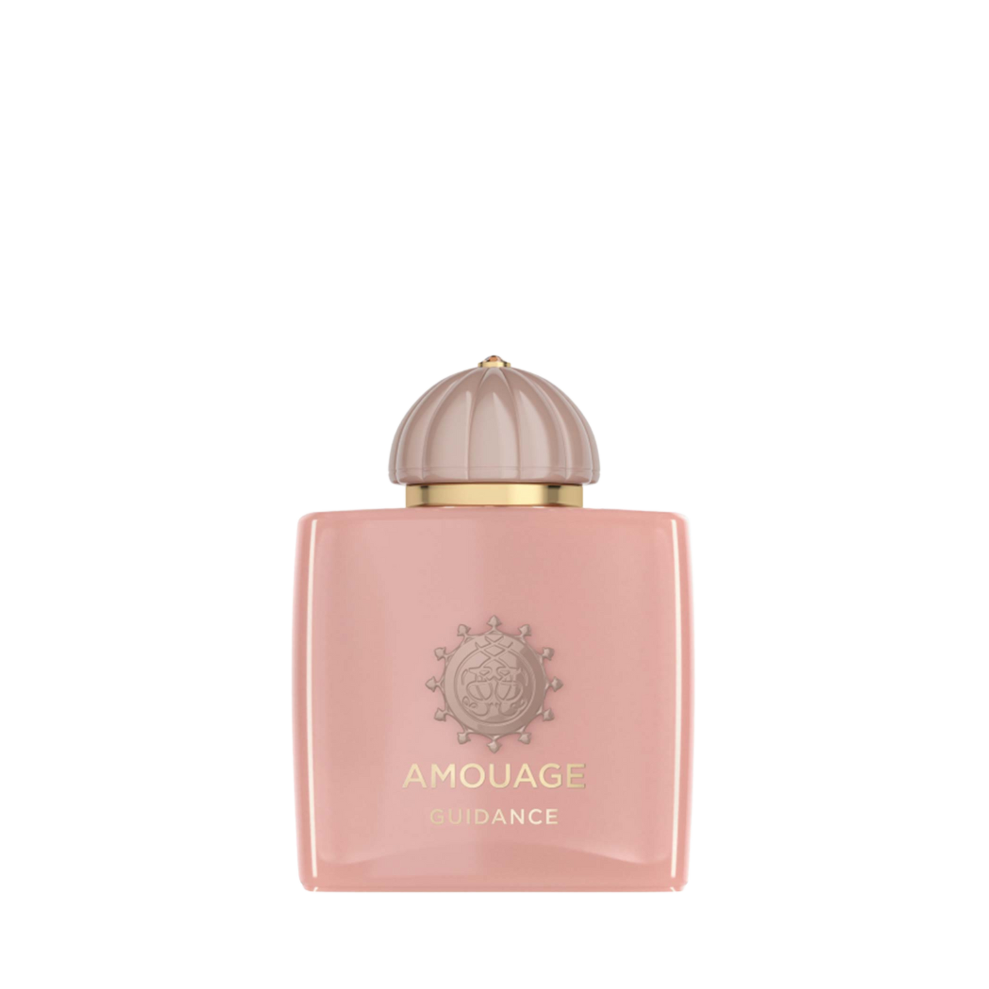 Amouage Guidance